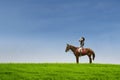 Attractive jockey riding horse at field Royalty Free Stock Photo
