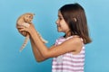 Attractive kind girl lifting her cat, loves it, adores pet Royalty Free Stock Photo