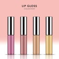 Attractive lip gloss package set