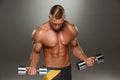 Attractive male body builder on gray background Royalty Free Stock Photo