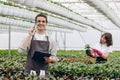 Attractive male florist holding clipboard and thinking, female florist arranging flowerpots on background in greenhouse Royalty Free Stock Photo