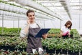 Attractive male florist talking on the phone and holding clipboard, while another female florist arranging pots with flowers on Royalty Free Stock Photo