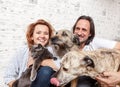 Attractive man and his young wife with pets, two dogs and a cat, a family portrait Royalty Free Stock Photo