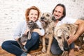 Attractive man and his young wife with pets, two dogs and a cat, a family portrait Royalty Free Stock Photo