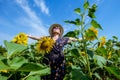 Attractive middle age woman in straw hat with arms outstretched in sunflower field, celebrating freedom. Positive emotions feeling Royalty Free Stock Photo