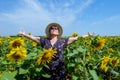 Attractive middle age woman in straw hat with arms outstretched in sunflower field, celebrating freedom. Positive emotions feeling Royalty Free Stock Photo