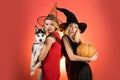 Attractive models girls in Halloween costume. Happy positive moments of two stylish girls on orange background