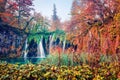 Attractive morning view of pure water waterfall in Plitvice National Park. Magnificent autumn scene of Croatia, Europe. Royalty Free Stock Photo