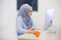 Attractive Muslim young woman working in office on computer