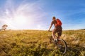 Attractive one cyclist on mountainbike on path near green fields in the countryside in the summer season. Royalty Free Stock Photo