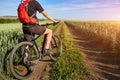 Attractive one cyclist on mountainbike on path near green fields in the countryside in the summer season. Royalty Free Stock Photo