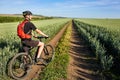 Attractive one cyclist on mountainbike on path near green fields in the countryside in the summer season. Royalty Free Stock Photo