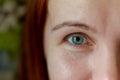 Attractive part of the face with the eye of a red-haired woman close-up without makeup Royalty Free Stock Photo
