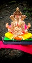 A attractive pic of idol of lord ganesha.