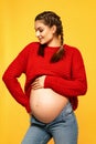 Attractive pregnant woman with braids posing in warm sweater Royalty Free Stock Photo