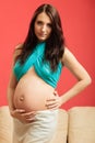 Attractive pregnant woman touching her belly Royalty Free Stock Photo