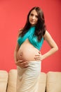 Attractive pregnant woman touching her belly Royalty Free Stock Photo