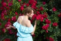 Attractive redhead girl with trendy hairstyle wearing stylish blue light dress smelling blooming roses in the garden. View from Royalty Free Stock Photo