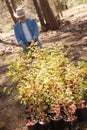 Attractive Senior Man Overlooking Potted Plants Royalty Free Stock Photo