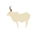 Zebu cow logo sign on white