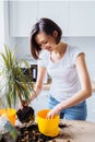 Attractive  smiling european girl replanting flowers at home in the white kitchen. Taking out a large flower from a small pot and Royalty Free Stock Photo