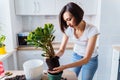 Attractive  smiling european girl replanting flowers at home in the white kitchen. Taking out a large flower from a small pot and Royalty Free Stock Photo