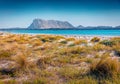 Attractive spring view La Cinta beach with Tavolara island on background.