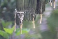 An attractive, stative fabric is kept out for drying in the cold weather. Weaving work is visible clearly Royalty Free Stock Photo