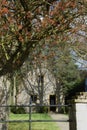 Attractive stone house beneath flowering cherry tree Royalty Free Stock Photo