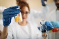 Attractive student of chemistry working in laboratory Royalty Free Stock Photo