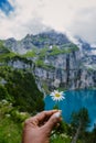 Attractive summer morning on the unique Oeschinensee Lake. Wonderful outdoor scene in the Swiss Alps with Bluemlisalp Royalty Free Stock Photo