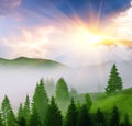 Attractive summer sunrise scenery, scenic view green hills with trees at first morning sun rays and fog covered valley in mountain Royalty Free Stock Photo