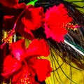 Attractive Three Red Flowers, Peacock Feather And Yellow Background. Happy Krishan Janmashtami Or Happy Radhaashtami.