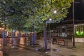 colorfully lit trees in the center of sopot