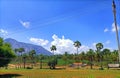 Attractive view of the Country monutains and home trees