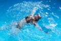 Attractive woman in a black bathing suit floating on her back in the swimming pool and relaxing, with copy space. view from top. Royalty Free Stock Photo