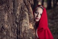 Attractive woman dressed a little red riding-hood hide behind a tree in dark forest Royalty Free Stock Photo