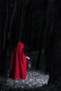Attractive woman dressed a little red riding-hood walk in a dark forest with lantern Royalty Free Stock Photo