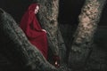 Attractive woman dressed a little red riding-hood walk in a dark forest with lantern Royalty Free Stock Photo