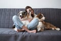 Attractive woman embracing three merle colours Australian shepherd puppy dog Royalty Free Stock Photo