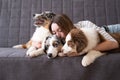 Attractive woman embracing three merle colours Australian shepherd puppy dog Royalty Free Stock Photo