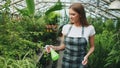 Attractive woman gardener in apron watering plants and flowers with garden sprayer in greenhouse Royalty Free Stock Photo