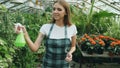 Attractive woman gardener in apron watering plants and flowers with garden sprayer in greenhouse