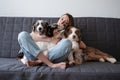 Attractive woman hug three merle colours Australian shepherd puppy dog Royalty Free Stock Photo