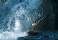 Attractive woman sitting at rock in yoga pose for spiritual relaxation serenity and meditation at stunning beautiful waterfall and