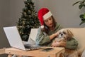 Attractive woman spending Christmas at home with her dog watching movie on laptop petting her puppy sitting on couch with X-mas Royalty Free Stock Photo
