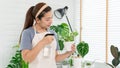 Attractive Young Asian woman taking care Water the household plants pots near window, Gardening at Home concept Royalty Free Stock Photo