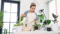 Attractive Young Asian woman taking care Water the household plants pots near window, Gardening at Home concept Royalty Free Stock Photo