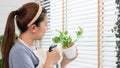 Attractive Young Asian woman taking care Water the household plants pots near window, Gardening at Home concept Royalty Free Stock Photo