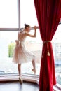 Attractive young ballerina Royalty Free Stock Photo